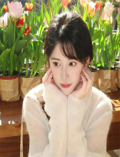 姐姐6电视剧在线观看_泰国最美的男人