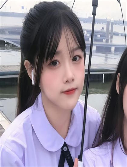 《一条狗的使命版》高潮解析：戏剧冲突与情感爆发，口碑佳作